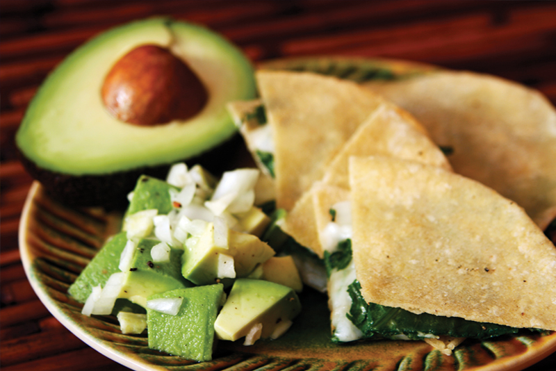 avocado and cilantro quesadillas